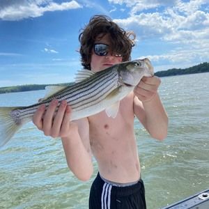 Meet your Posher, Kennedy